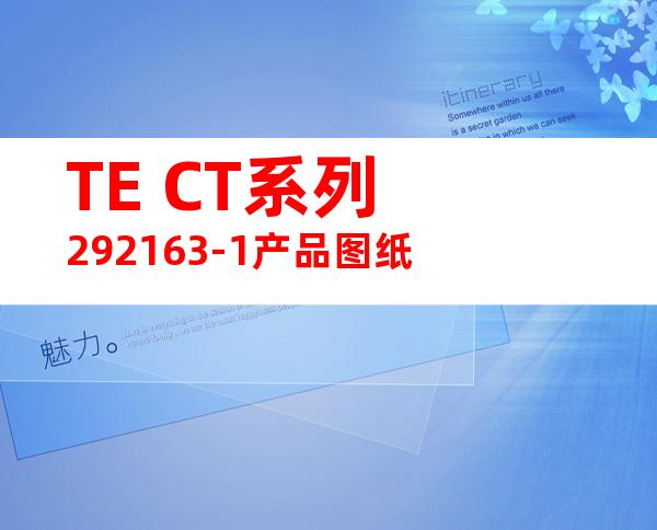 TE CT系列 292163-1产品图纸